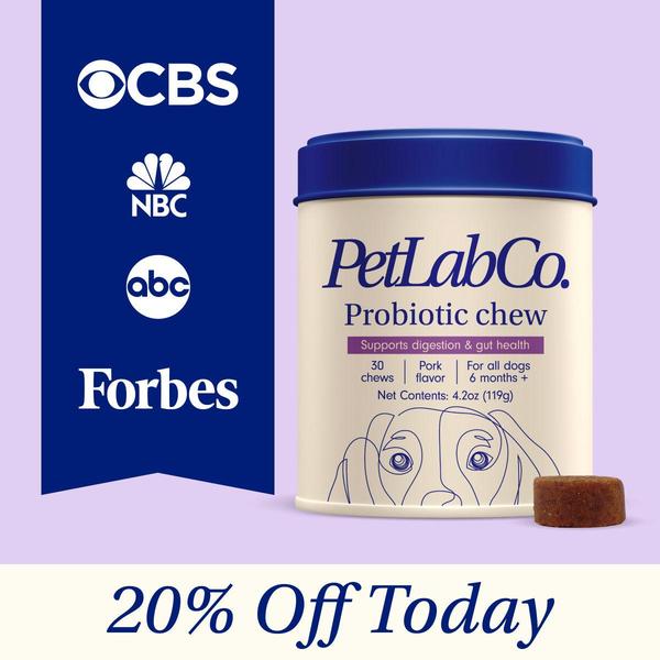 A square ad creative featuring a Probiotic Chew supplement, authoritative news logos, and a clear 20% off promotional offer.